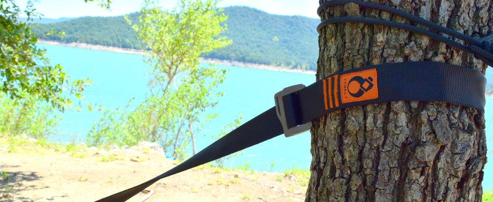 Sangle Tybelt autour d’un tronc d’arbre au bord d’un lac