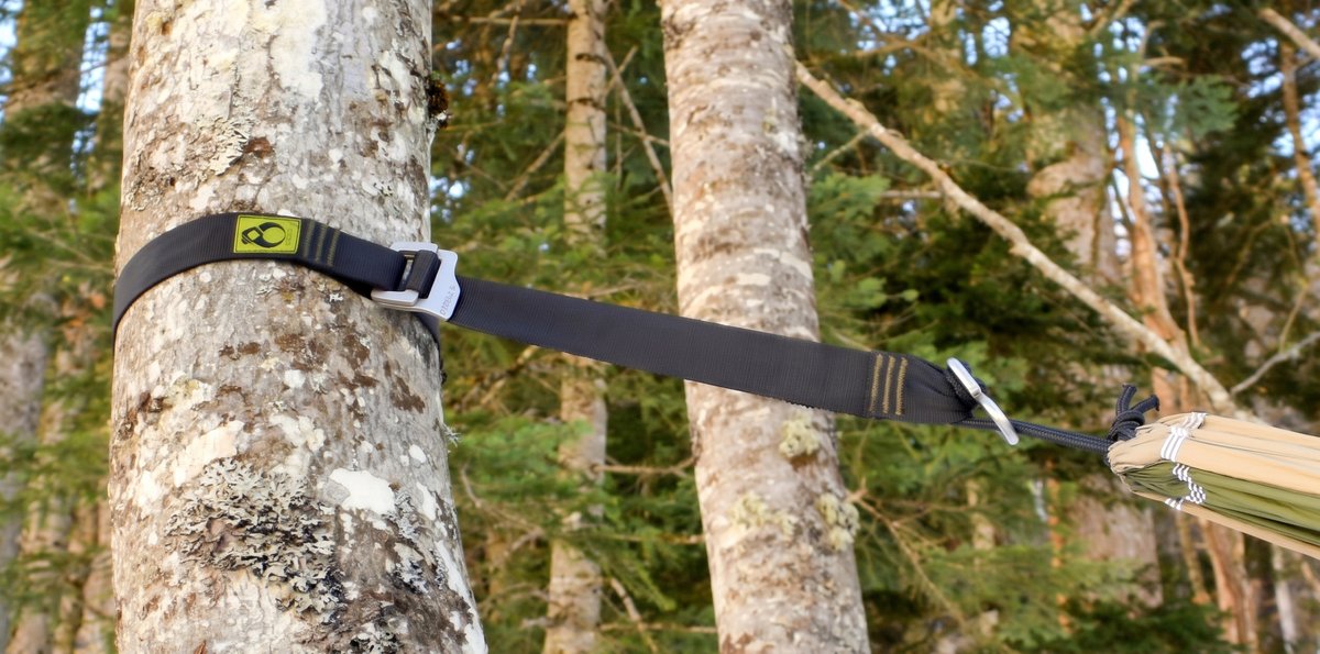 Sangle Tybelt autour d’un arbre pour tendre un hamac en forêt